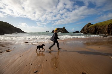 Lady and dog on beach