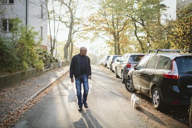 Full length of elderly man holding shopping bag walking with dog on road during autumn