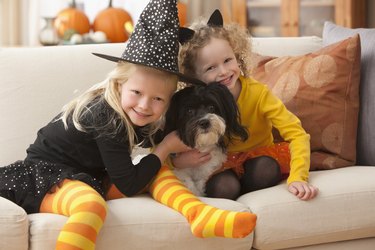 Caucasian girls in Halloween costumes hugging dog