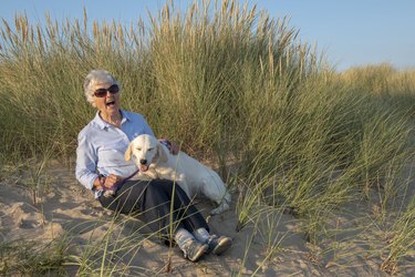Happy, laughing, senior woman sitting in the sand dunes with a beautiful golden retriever pup