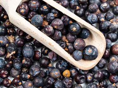 scoop on pile of dried juniper berries closeup