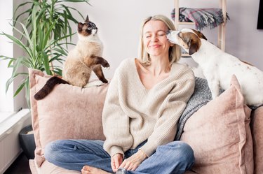 Happy woman playing with her dog on the couch at home