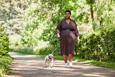 Elegant Black Woman Walking Dog in Park