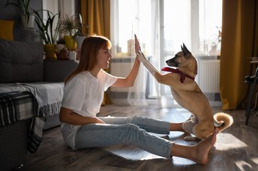 Excited woman giving high five to dog