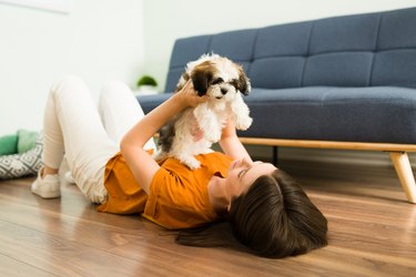 Beautiful woman hugging her shih tzu dog