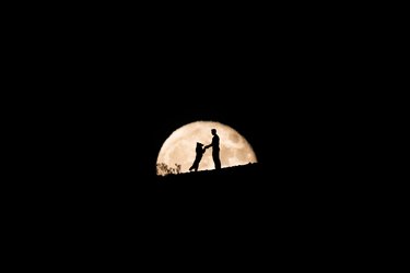 Full moon behind the silhouette of a dog and its owner, dog and owner playing, dog love, pet photography