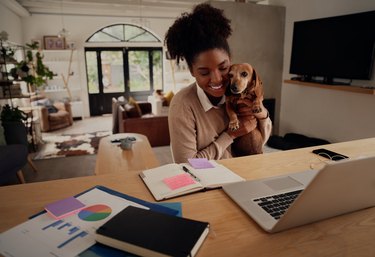 Young woman embracing pet dog while working on laptop at home