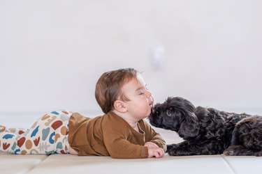 Baby with a Puppy