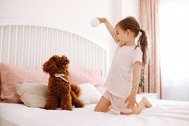 Little girl playing with dog on the bed