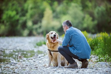 Man and dog walking in nature