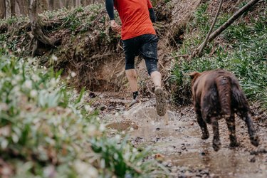 Rear view of athlete running with dog through stream in forest