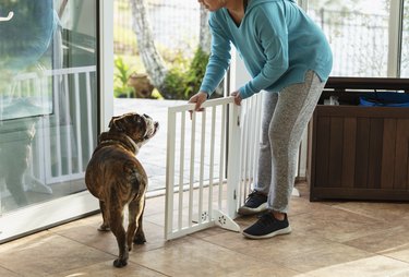 Young woman opening baby gate and letting dog out into back yard