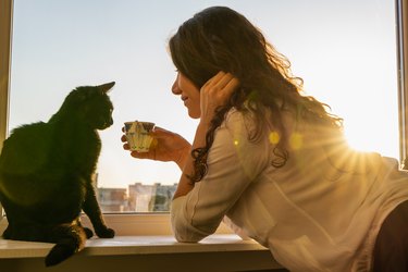 Woman looking at a cat in front of a window