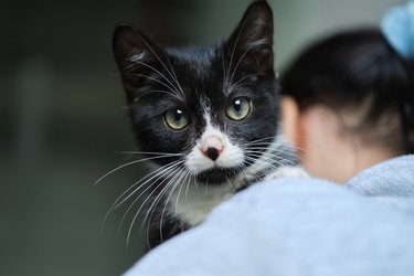 Female volunteer holding a stray cat in her arms.