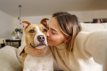 Tender close-up view of caucasian blonde woman kissing Pitbull dog at home