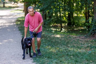 A man walking his dog on a leash outside