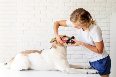 Woman With Dog Against Wall