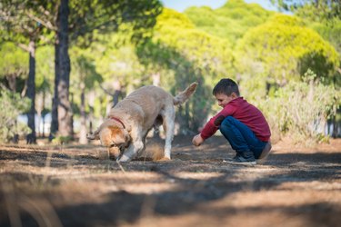 Happy boy and his dog digging the ground in the forest