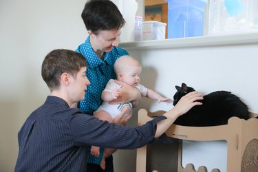 Mothers letting their babies touch their cats.