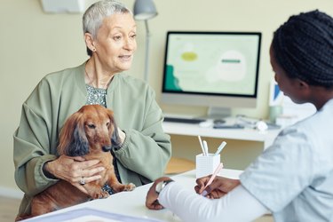 Senior Woman with Dog Visiting Vet