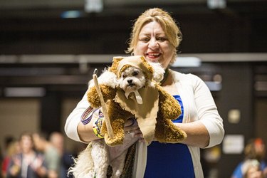 Dog wearing Ewok costume