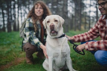 A man and a woman are walking their dog in nature