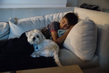 Young boy fallen asleep on the couch with dog.