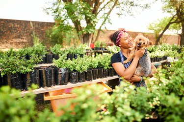 Female horticulturist holding her dog in her plant nursery.