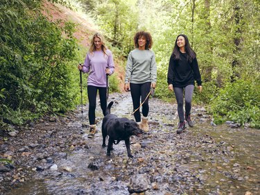 Group of Women Friends Hiking Outdoors with their black lab