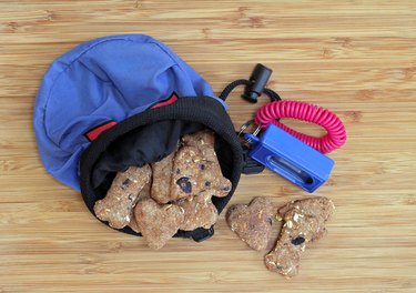 Dog cookies with a training pouch and clicker.  Top view.