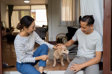 Young adult couple holding a puppy with home interior in background. 30s mature woman holding a dog pet talking with a man. Husband and wife living together at house. Family happiness concept