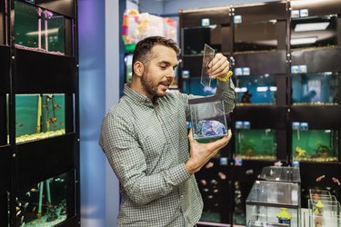 Man in fish store holding small tank