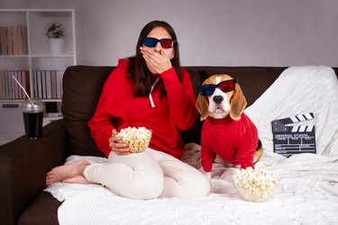 A young girl with her dog beagle in 3 d glasses watching a movie at home, eating popcorn