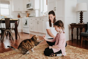 Mother watching daughter playing with their cat at home