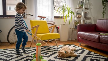 Child playing with cat at home. Kids and pets.