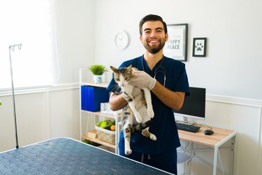 A veterinarian wearing scrubs and gloves is smiling and holding a cat.