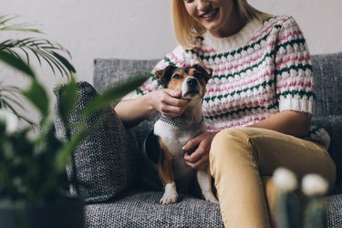 Blond Woman Sitting on the Sofa with her Dog