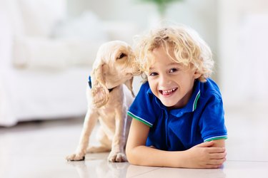 Child playing with puppy.