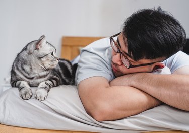 asian man lying on bed with his cat and looking at each other