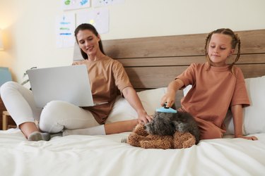 Girl Brushing Little Dog on bed