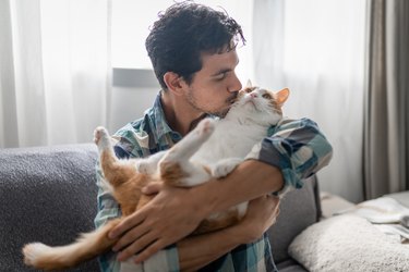 young man holds a brown and white cat in his arms and kisses him.