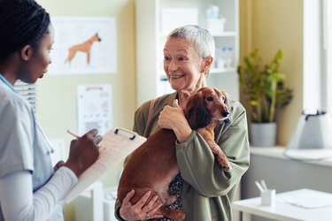 Senior Woman with Dog in Vet Clinic