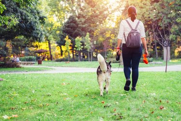 Responsible woman cleaning after her dog