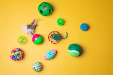 A variety of colorful cat toys on a yellow background.