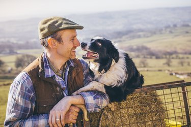 Mature farmer and his sheepdog outside on the farm