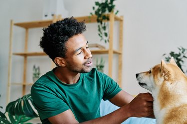 Young man talking to his dog in living room, training it and teaching it to sit and do tricks.