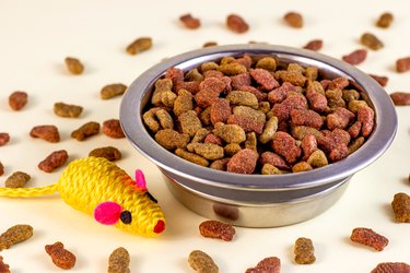 Healthy dry cat food. Brown crunchy organic kitty kibble pieces in a bowl for pet feed and mouse toys on light background