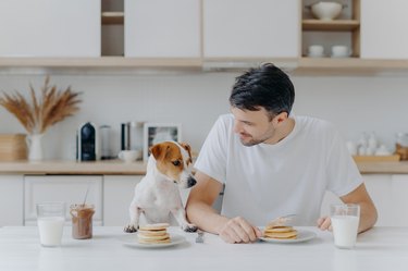 man and dog in kitchen with pancakes