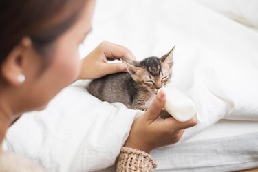 Close-Up Of Woman Feeding Milk To Kitten On Bed At Home