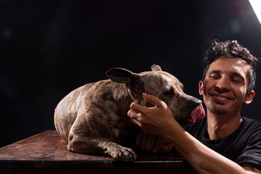 Latin man and his pitbull spending time together in a photo studio. Young adult and his pet love each other very much.